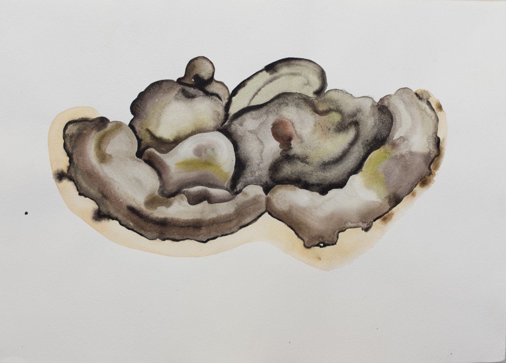 MARIE LADROVÁ / NEBE / ZEMĚ!