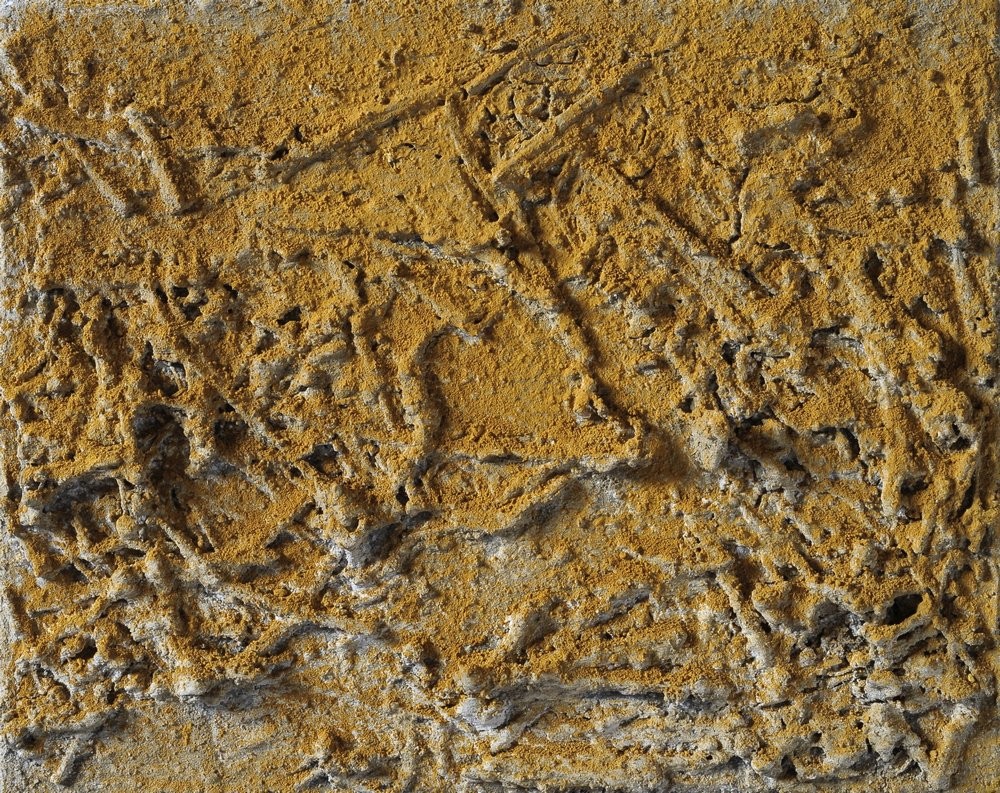 PETRA MALINOVÁ / ROSTLINÁM