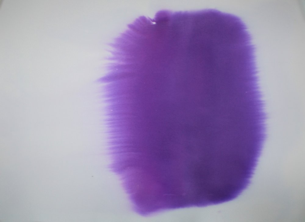 MARTA MORICE / DOVNITŘ