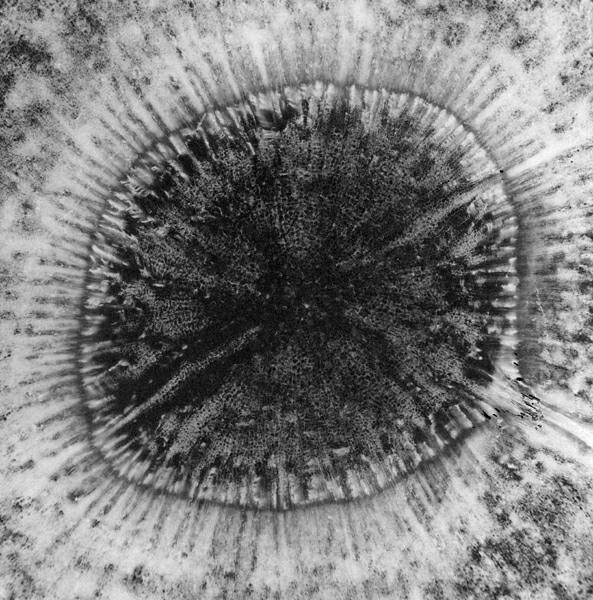 MIROSLAV KOVAL / JÍT KRESBOU JAKO TRÁVOU