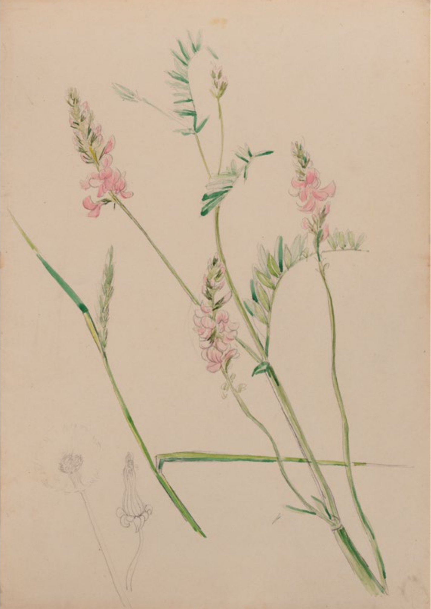 JIŘÍ JÍLEK 100 / JAK BY SE VRÁTIL ČAS ... / KOMENTOVANÁ PROHLÍDKA VÝSTAVY