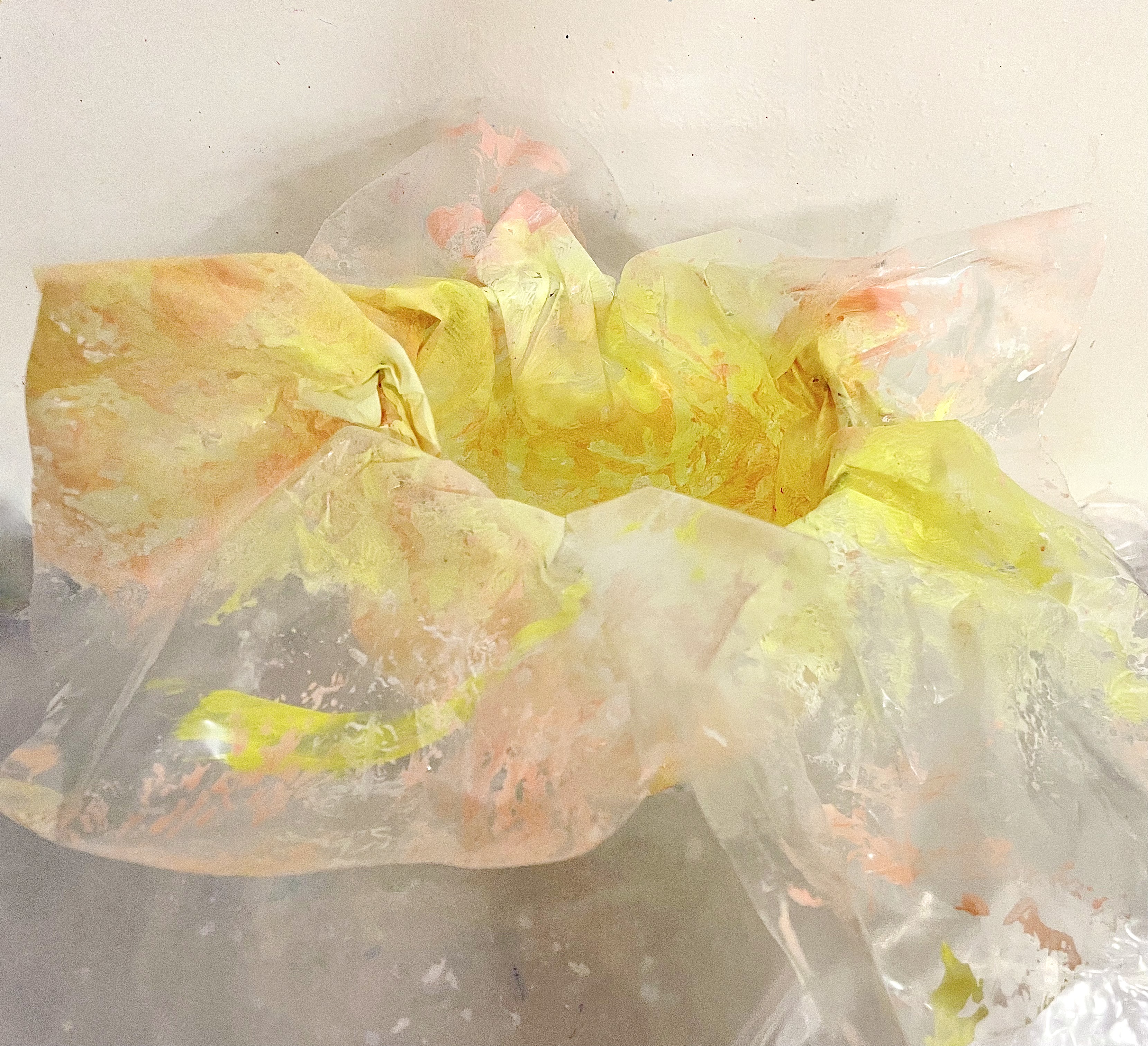 KATEŘINA ŠTENCLOVÁ / PRŮHLEDNÁ ESENCE / DERNISÁŽ:  KATEŘINA ŠTENCLOVÁ V OBRAZE