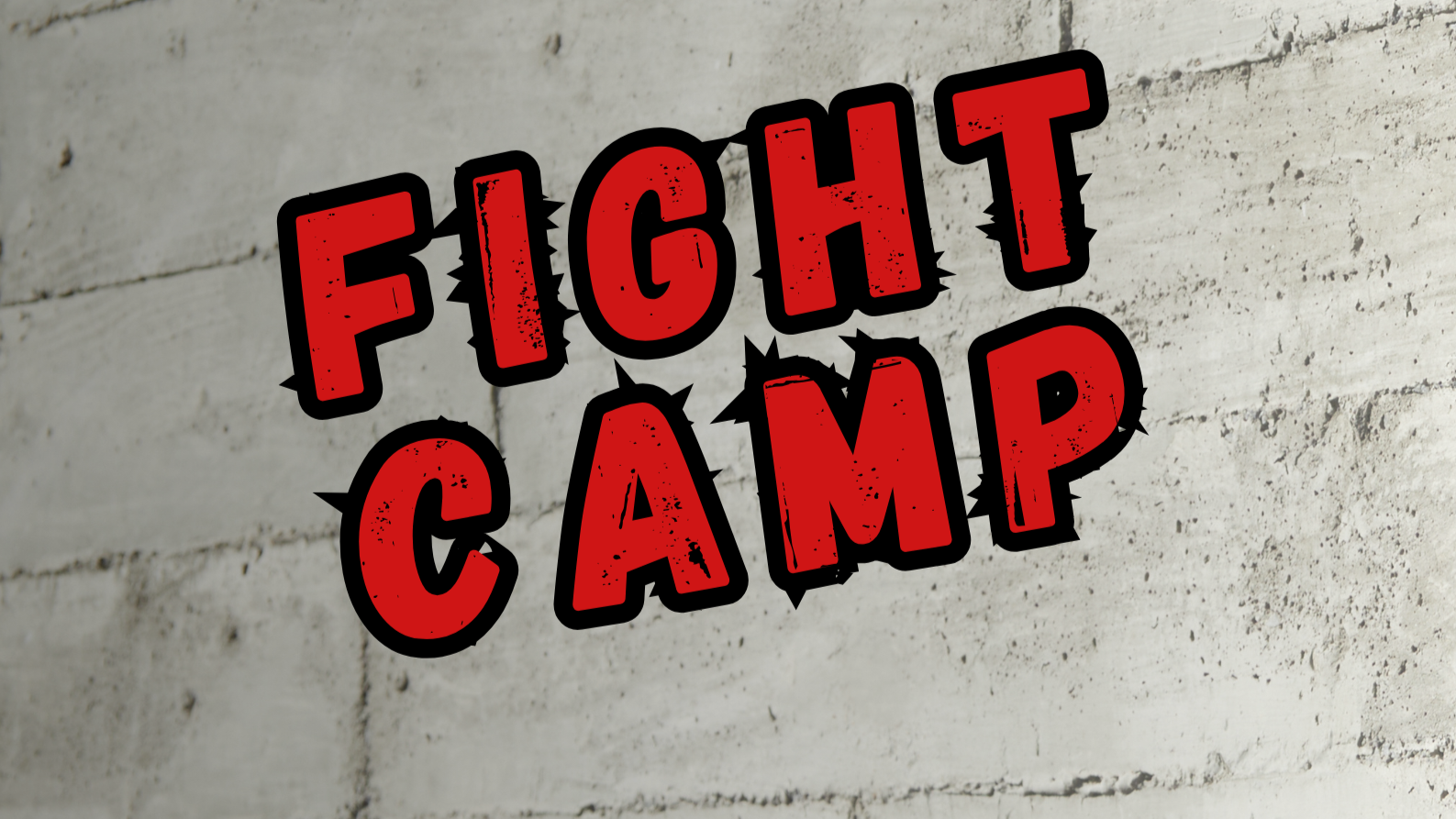 FIGHT CAMP - příměstský tábor