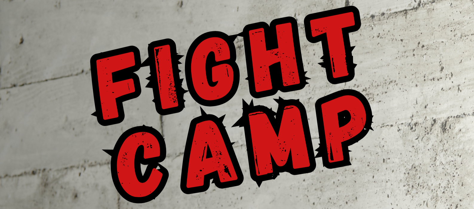 FIGHT CAMP - příměstský tábor